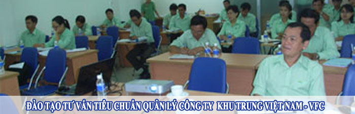 khu-trung-viet-nam-vfc.jpg
